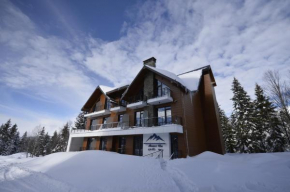 Alliance Villa Gоderdzi